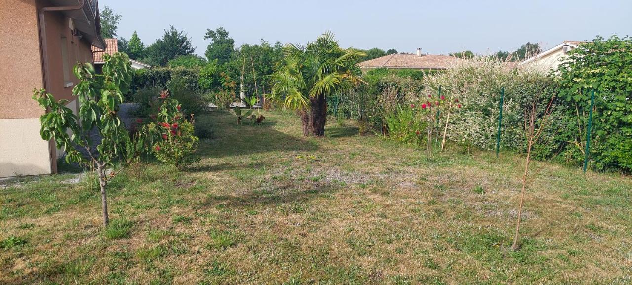 Gite Des Pins Aureilhan  Exterior foto